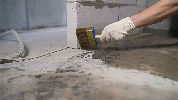 Top rated local Emergency Waterproofing specialists in Fairlea, WV